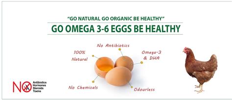 omega 6 in eggs.